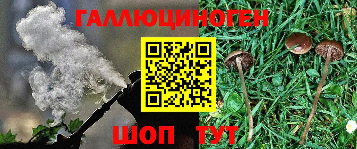 Галлюциногенные грибы GOLDEN TEACHER  Псилоцибиновые грибы мухоморы  Геленджик  Вход с VPN 